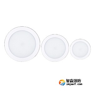 利達X4000系列（吸頂式）集中電源集中控制型消防應急照明燈具