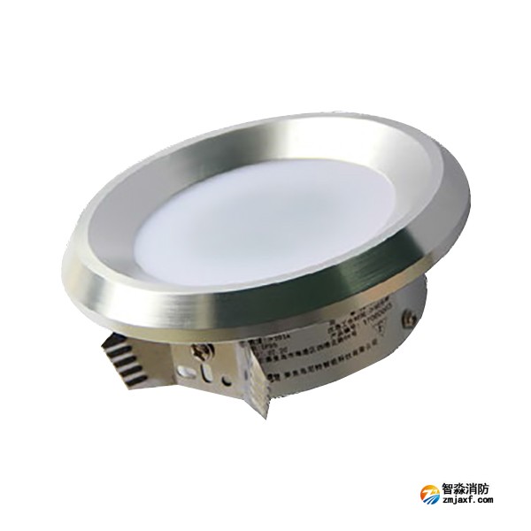 尼特NT-ZFJC-E3W-1302集中電源集中控制型消防應急照明燈具