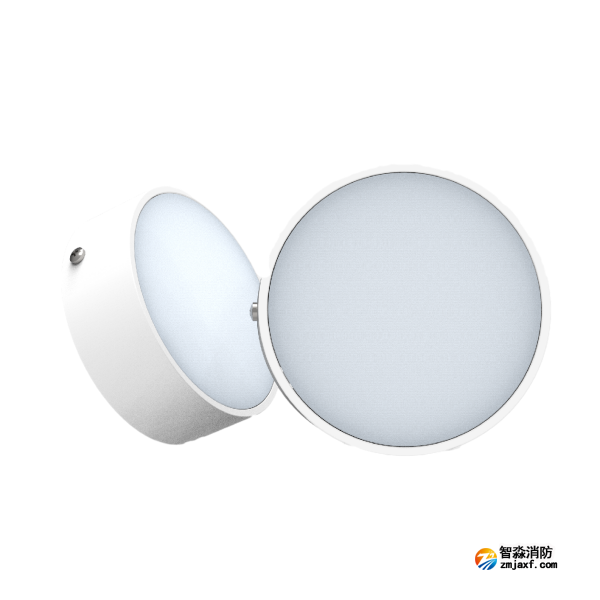 尼特NT-ZFJC-E3W-1306集中電源集中控制型消防應(yīng)急照明燈具