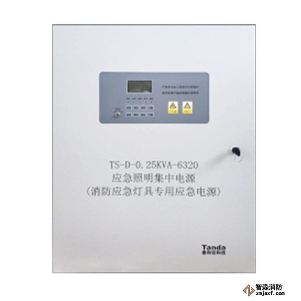 泰和安消防應急燈具專用應急電源TS-D-0.5KVA-6330/TS-D-0.25KVA-6320
