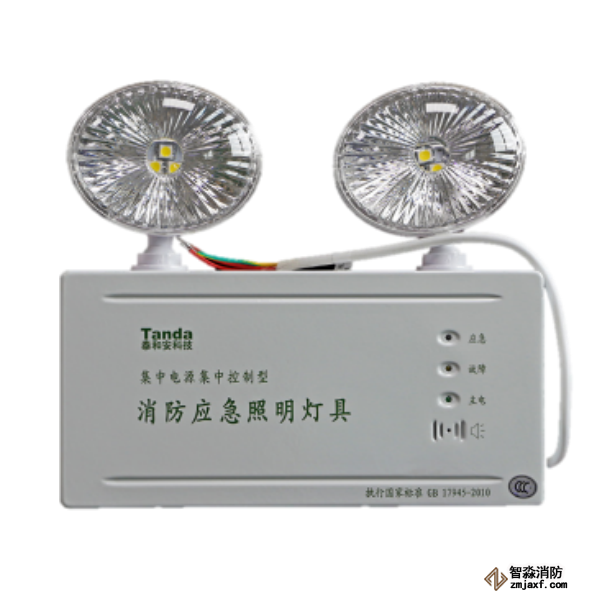 泰和安集中電源集中控制型消防應急照明燈具TS-ZFJC-E2W-6600