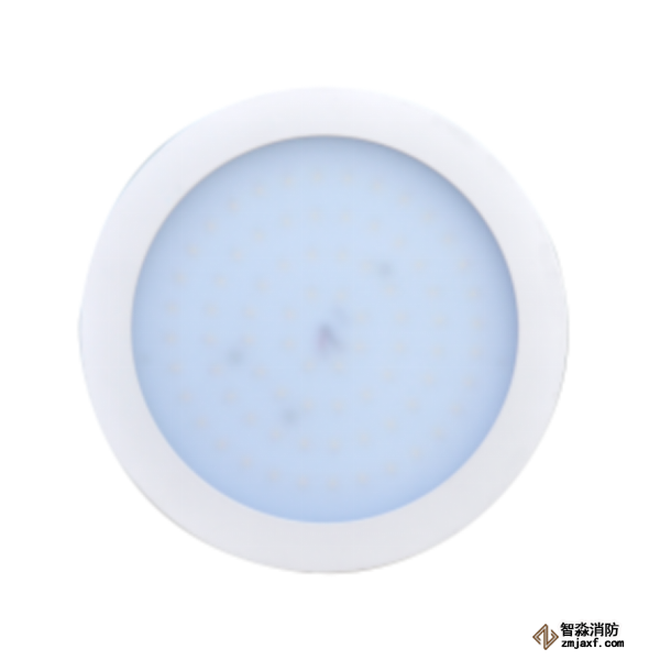 泰和安集中電源集中控制型消防應急照明燈具TS-ZFJC-E5W-6613