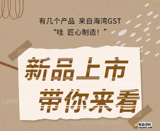 海灣消防N600二線制系列集中電源集中控制型消防應急照明燈具新品上市